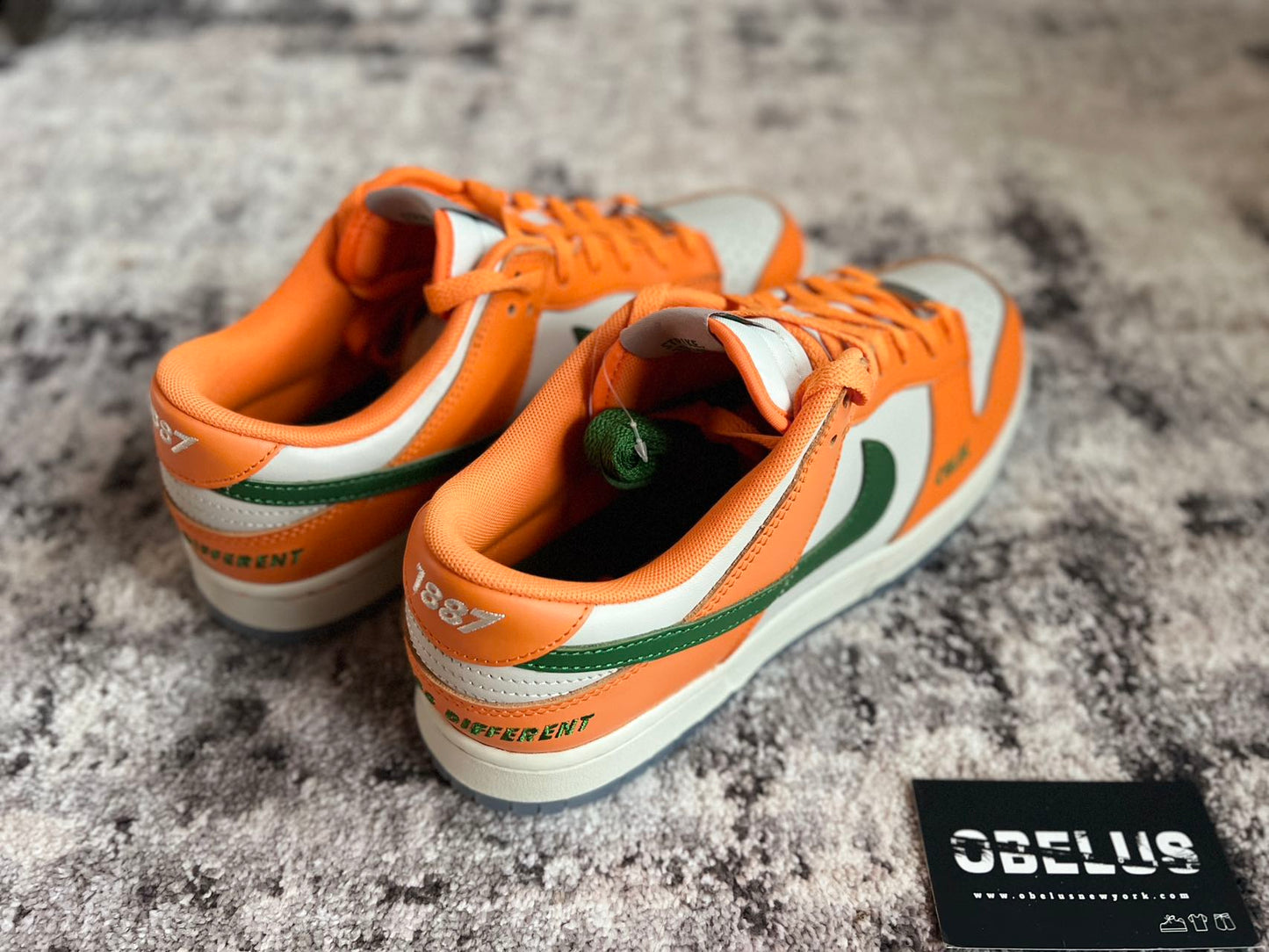 Dunk Low Florida A&M University