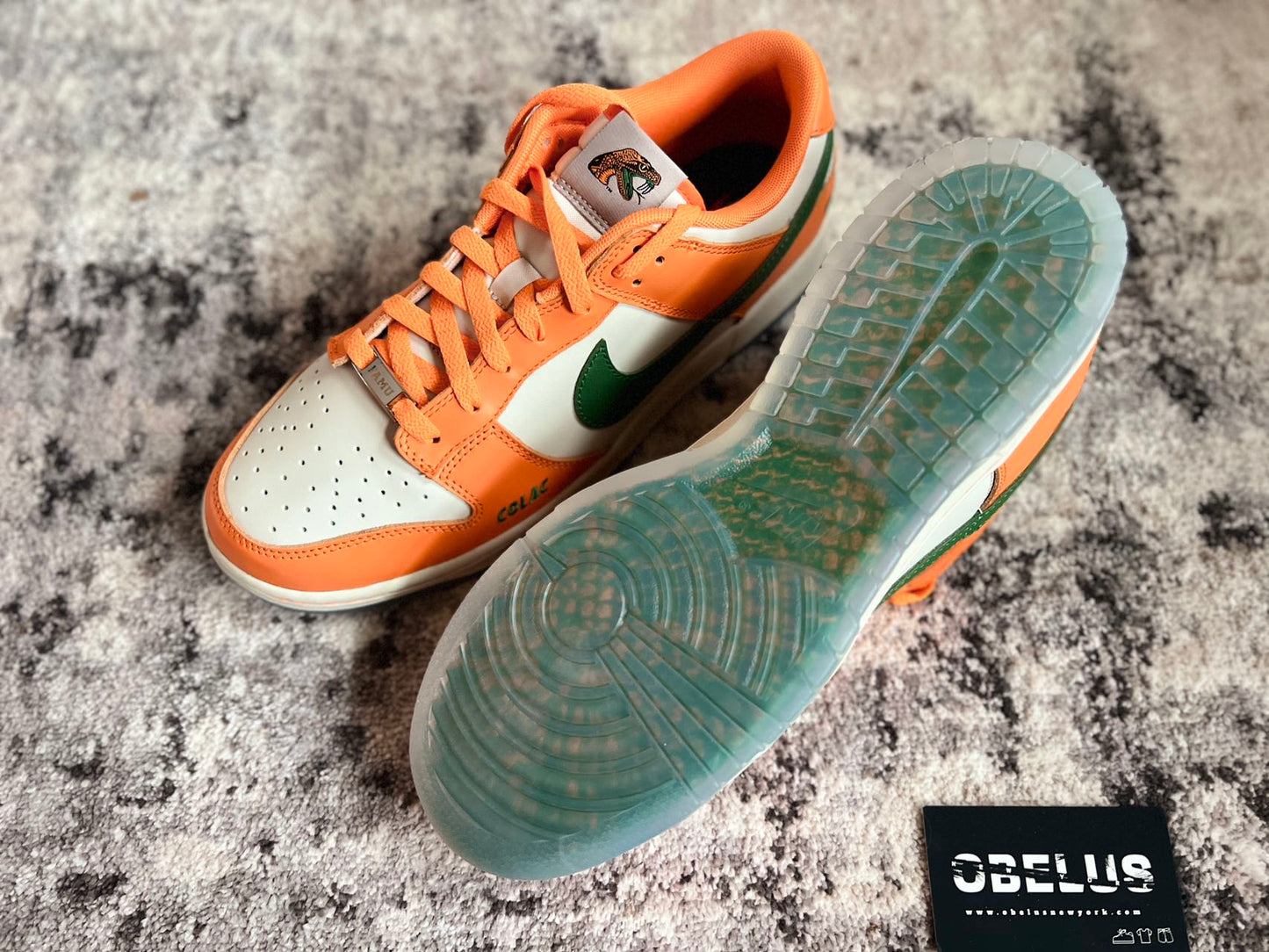 Dunk Low Florida A&M University