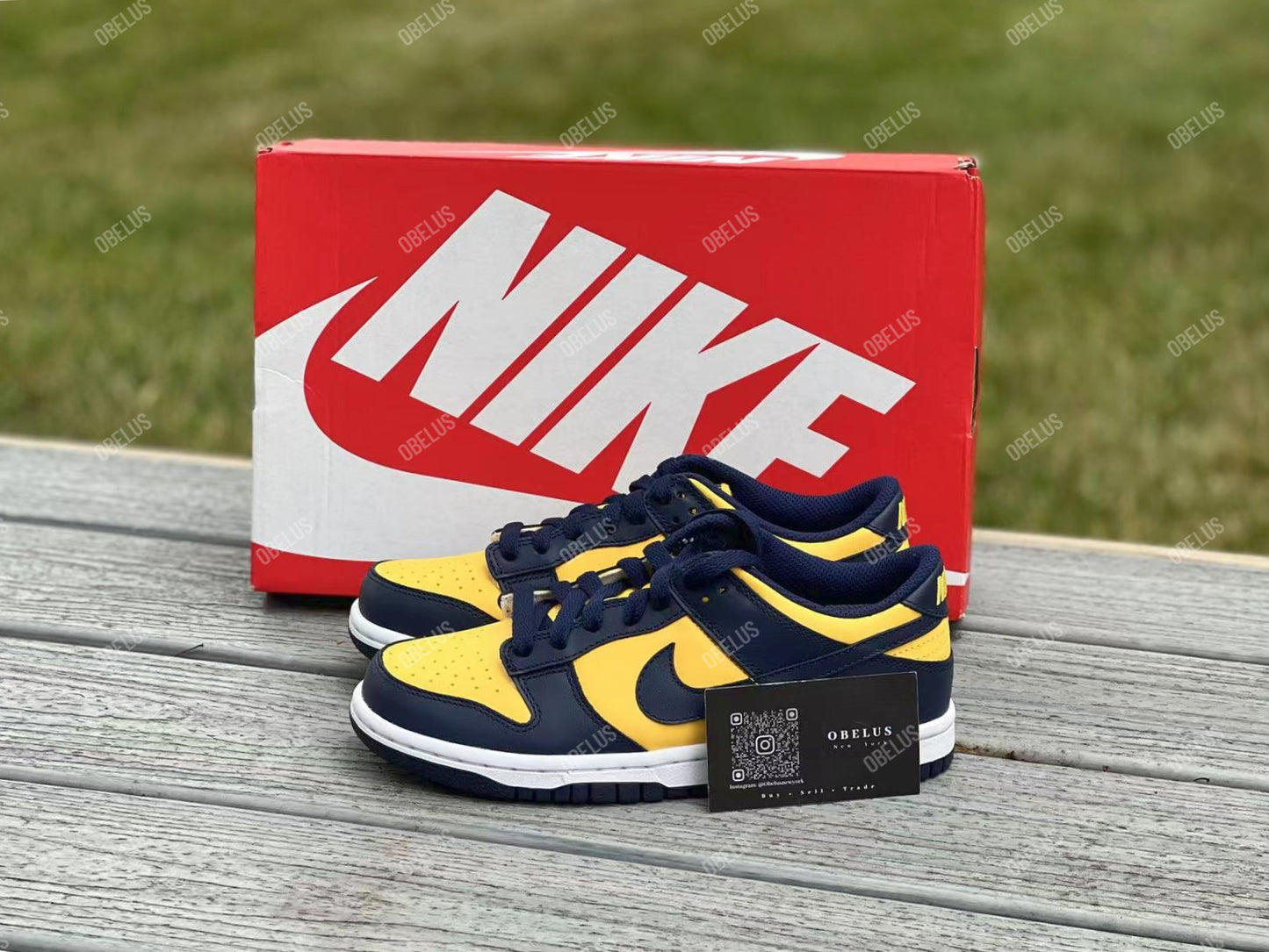 Dunk Low Michigan GS