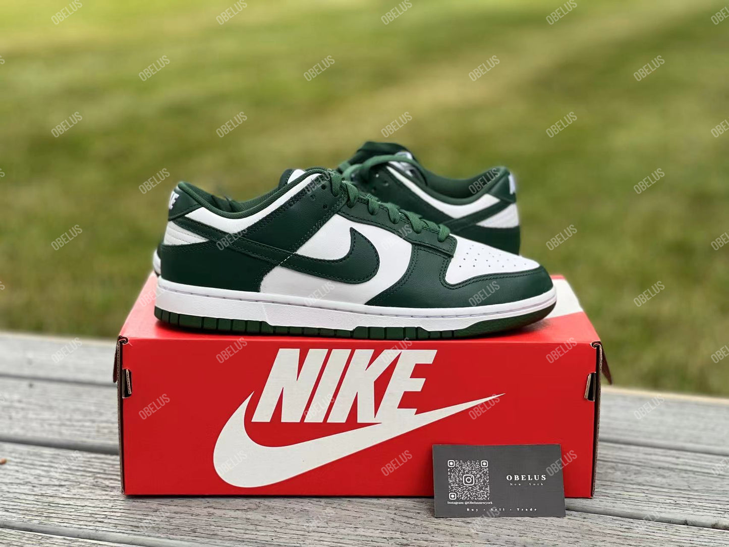 Nike Dunk Low Michigan State